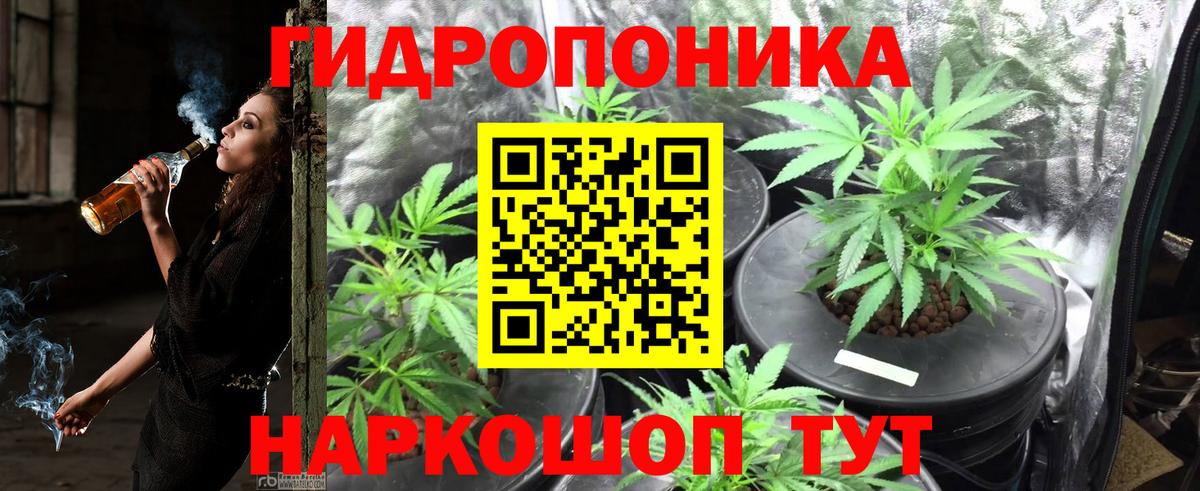 Канабис OG Kush Нурлат